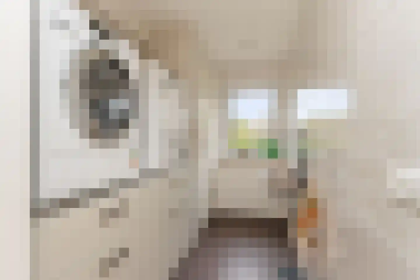 Uilecotenweg 12 Ammerzoden thumbnail 21