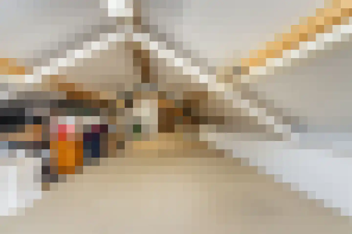 Uilecotenweg 12 Ammerzoden thumbnail 35