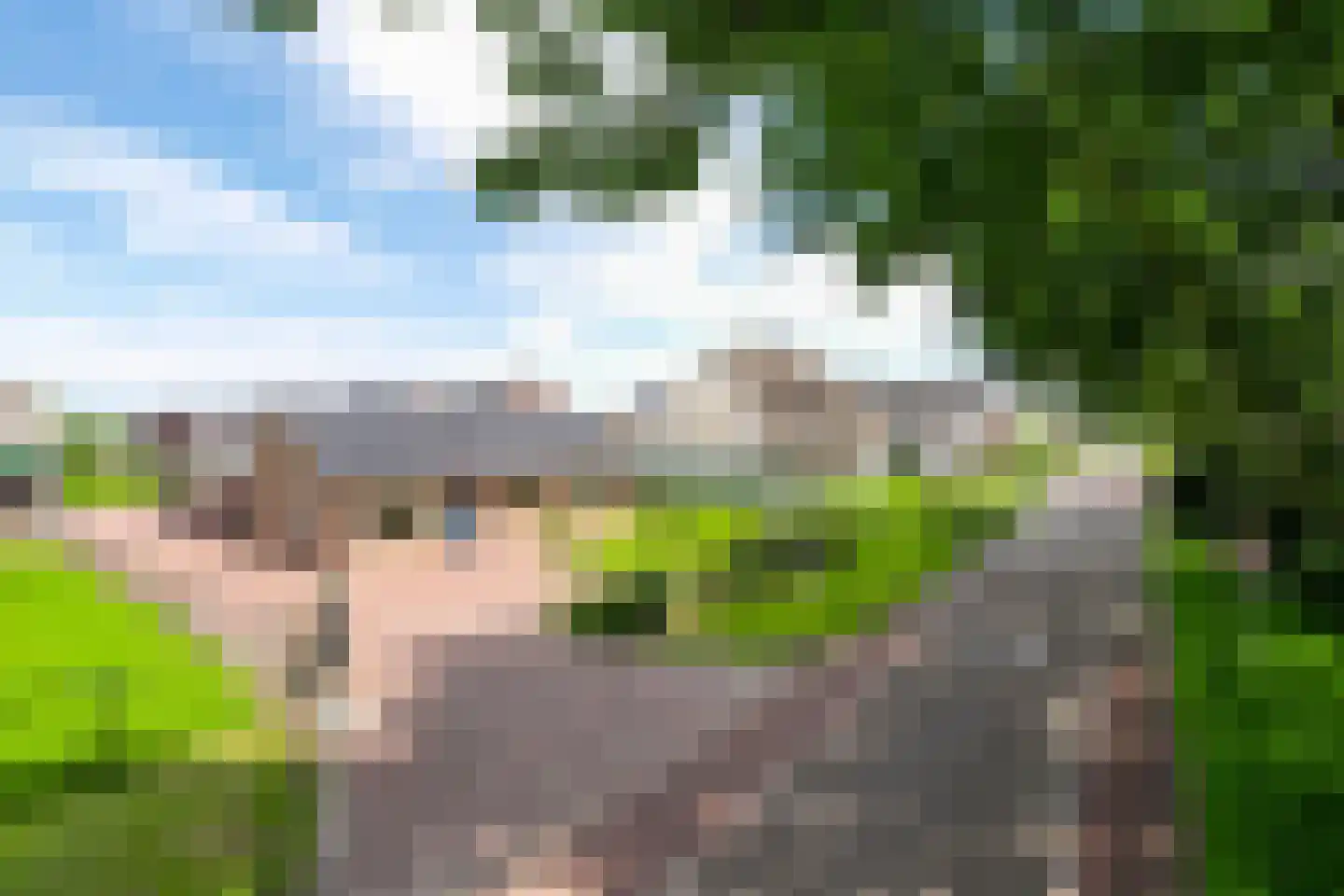 Uilecotenweg 12 Ammerzoden thumbnail 4