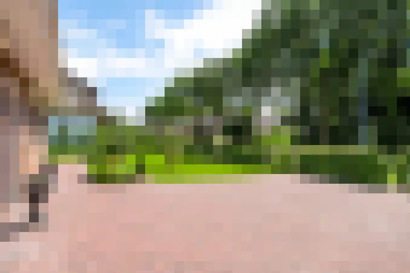 Uilecotenweg 12 Ammerzoden thumbnail 42