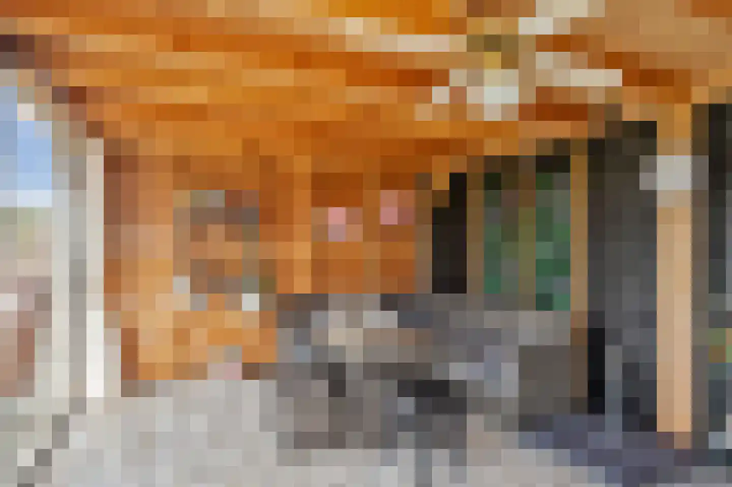 Uilecotenweg 12 Ammerzoden thumbnail 45
