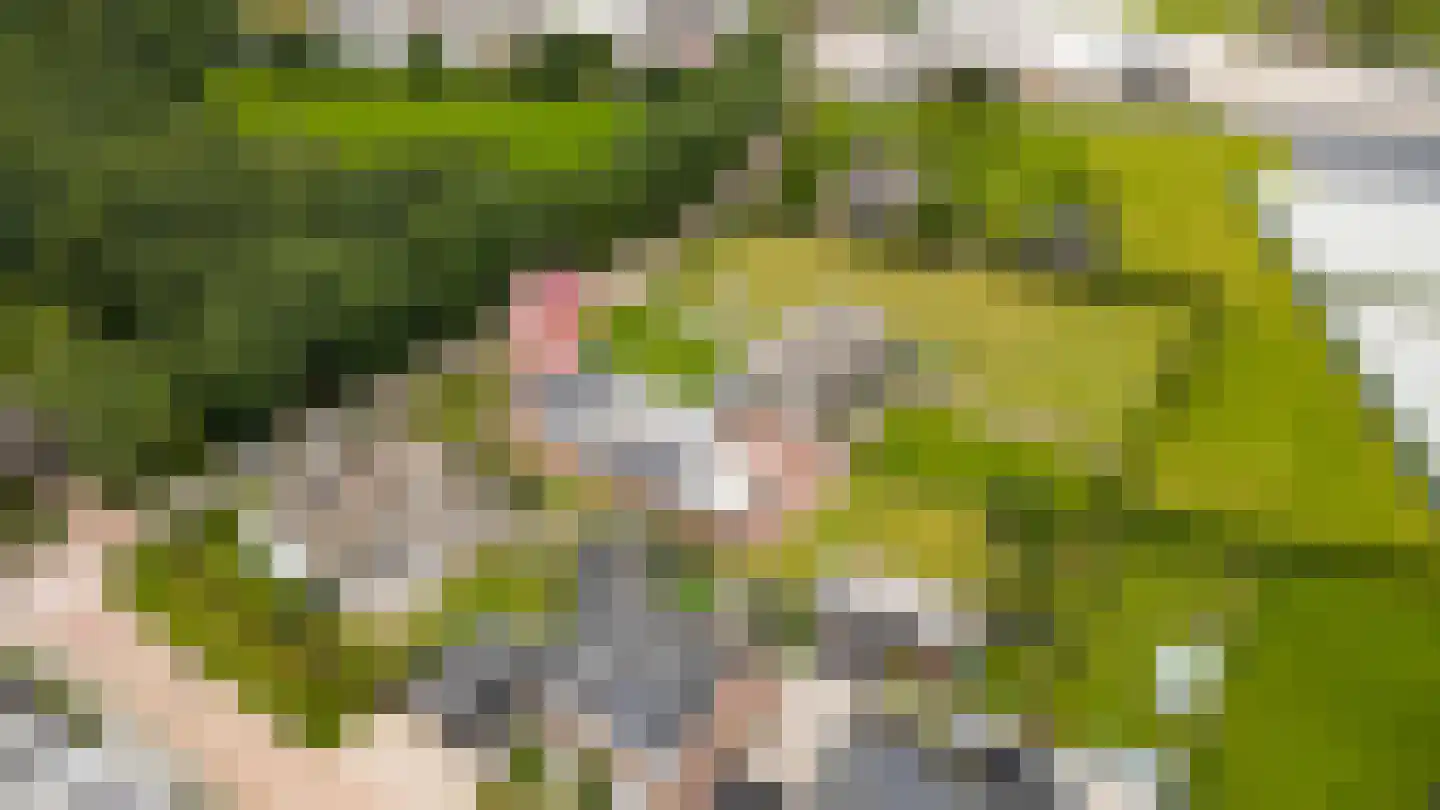 Uilecotenweg 12 Ammerzoden thumbnail 47