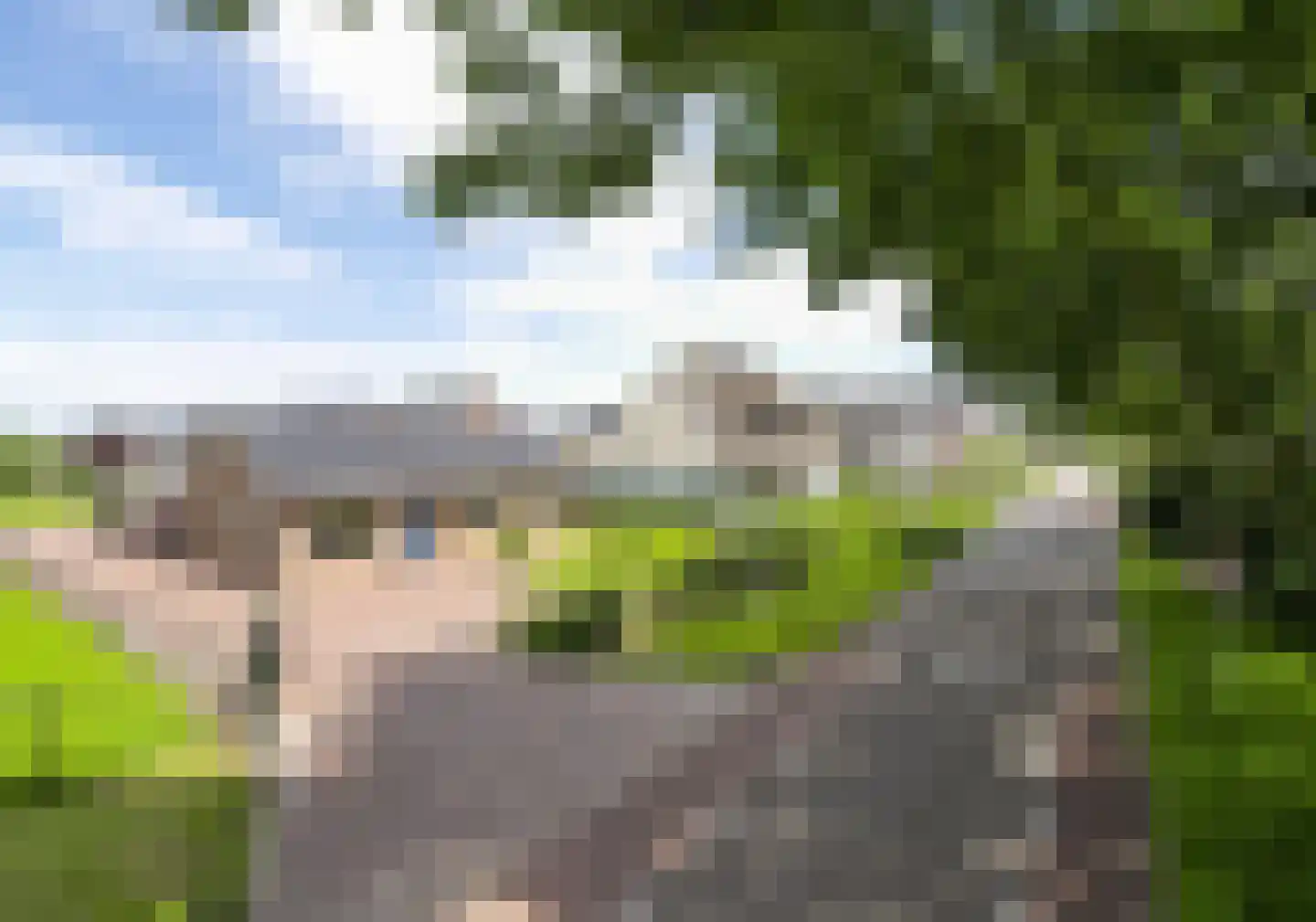 Uilecotenweg 12 Ammerzoden thumbnail 51