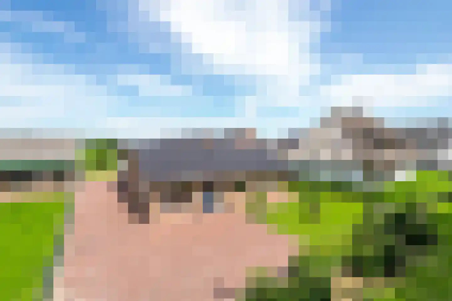 Uilecotenweg 12 Ammerzoden thumbnail 52