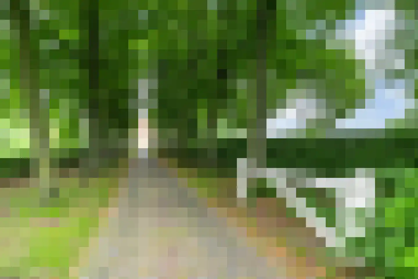 Uilecotenweg 12 Ammerzoden thumbnail 53