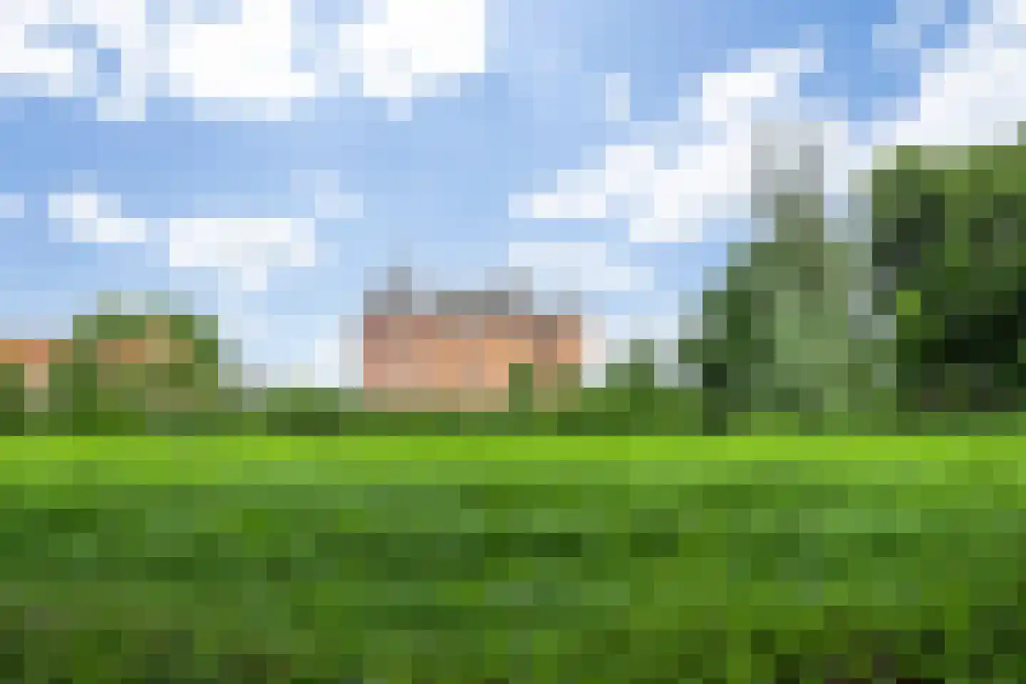 Uilecotenweg 12 Ammerzoden thumbnail 54