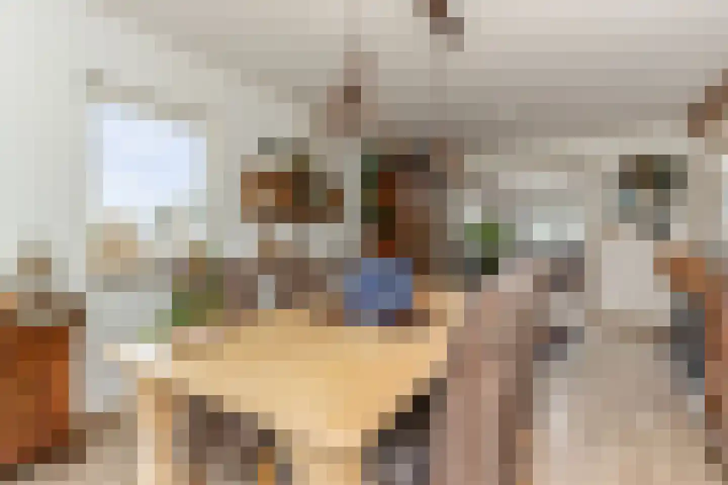 Uilecotenweg 12 Ammerzoden thumbnail 9