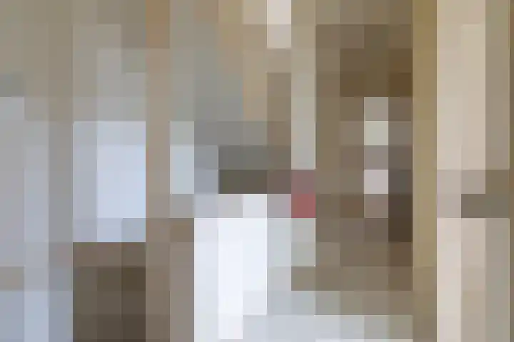 Uilegats 2 Heerlen thumbnail 14
