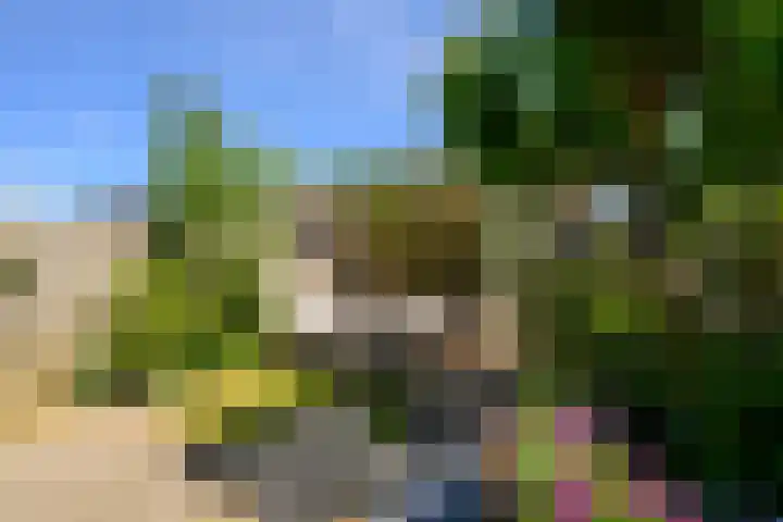 Uilehorst 2 C Honselersdijk thumbnail 10