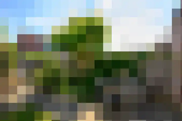 Uilehorst 2 C Honselersdijk thumbnail 11