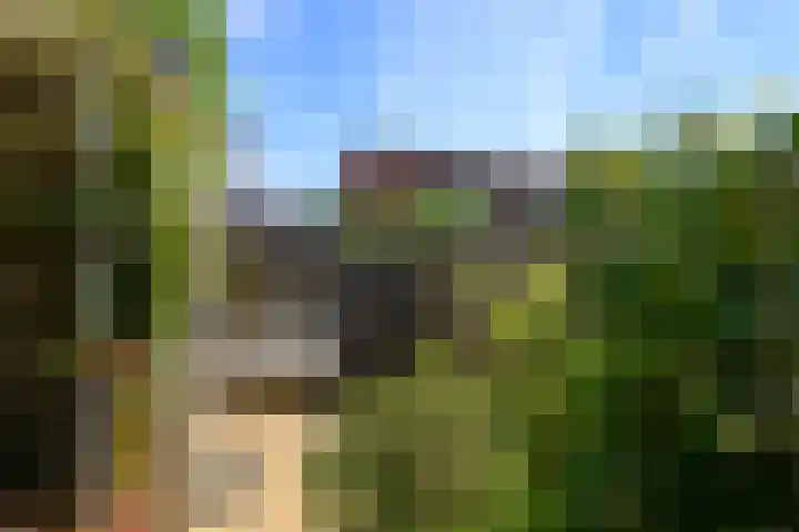 Uilehorst 2 C Honselersdijk thumbnail 12