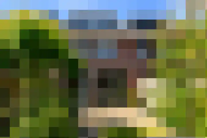 Uilehorst 2 C Honselersdijk thumbnail 14