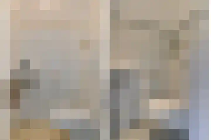 Uilehorst 2 C Honselersdijk thumbnail 17