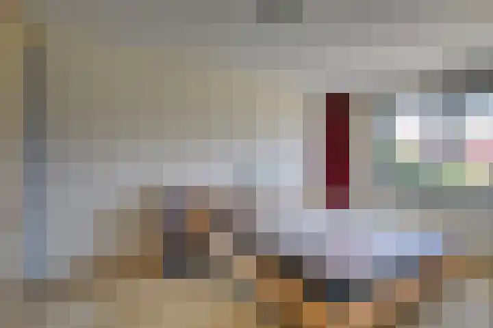 Uilehorst 2 C Honselersdijk thumbnail 18