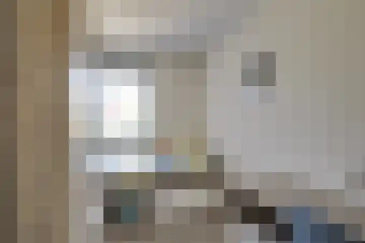 Uilehorst 2 C Honselersdijk thumbnail 25