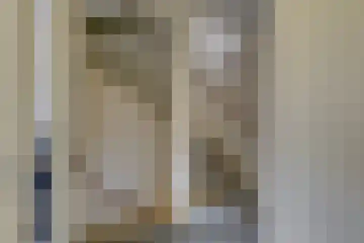 Uilehorst 2 C Honselersdijk thumbnail 26