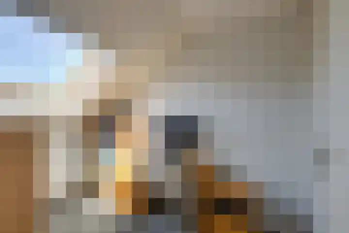 Uilehorst 2 C Honselersdijk thumbnail 28