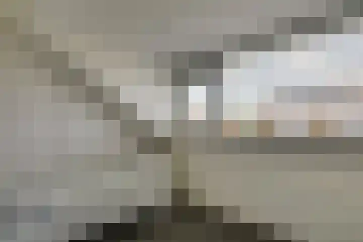 Uilehorst 2 C Honselersdijk thumbnail 29