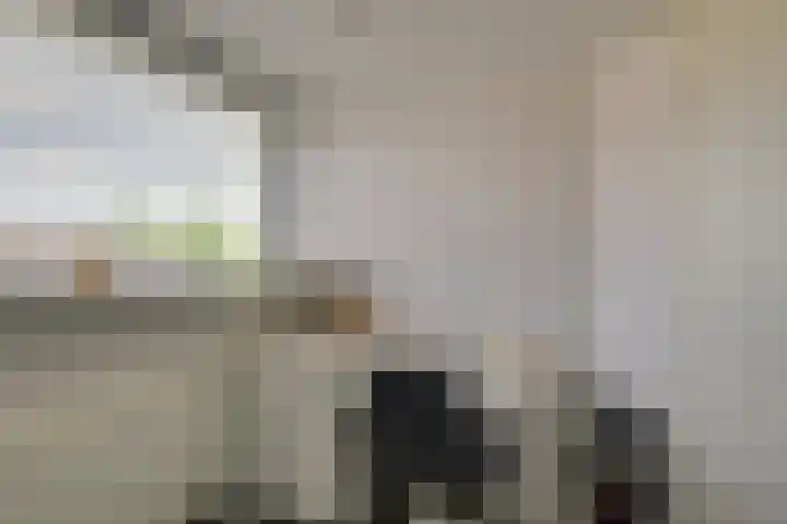 Uilehorst 2 C Honselersdijk thumbnail 30