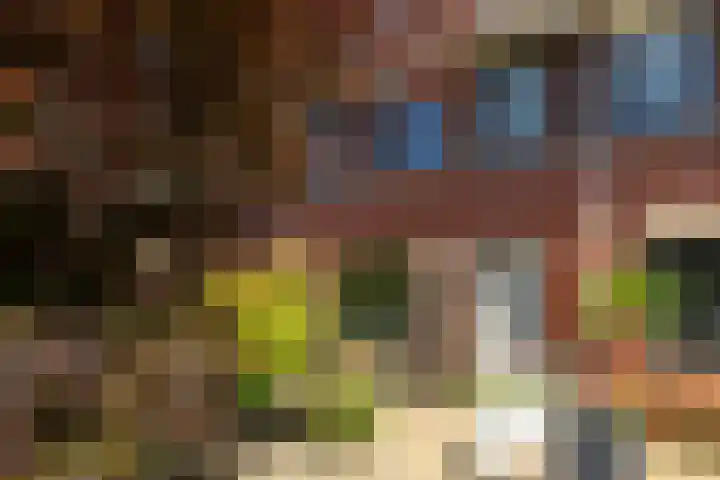 Uilehorst 2 C Honselersdijk thumbnail 31