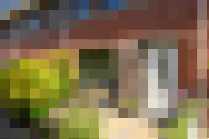 Uilehorst 2 C Honselersdijk thumbnail 32