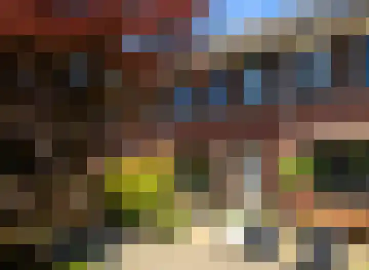 Uilehorst 2 C Honselersdijk thumbnail 38