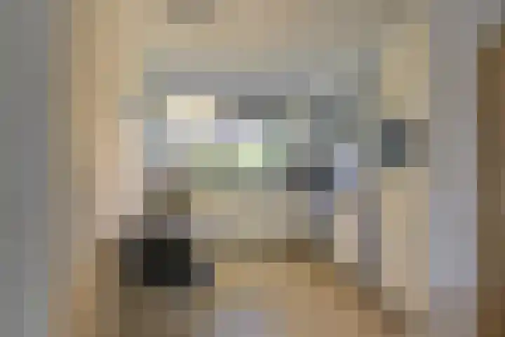 Uilehorst 2 C Honselersdijk thumbnail 4