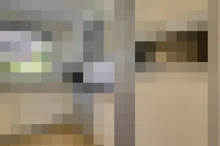 Uilehorst 2 C Honselersdijk thumbnail 5