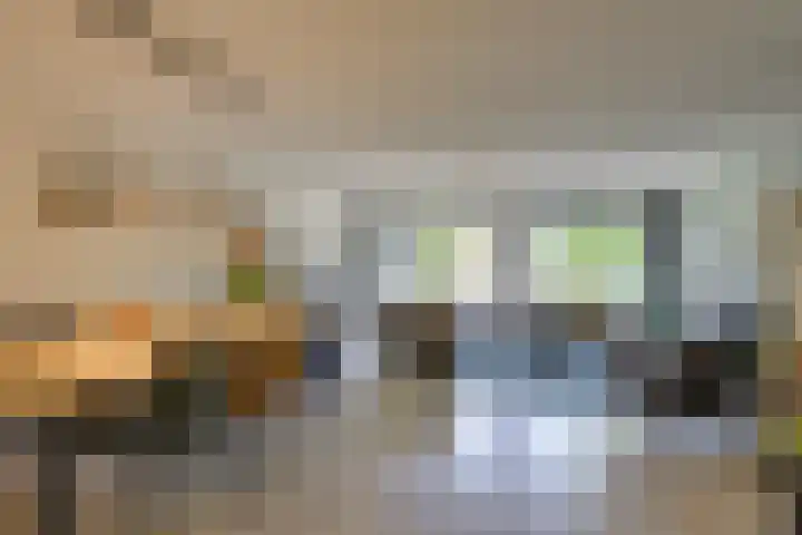 Uilehorst 2 C Honselersdijk thumbnail 6
