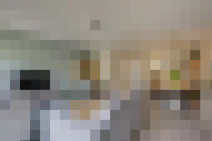 Uilehorst 2 C Honselersdijk thumbnail 8