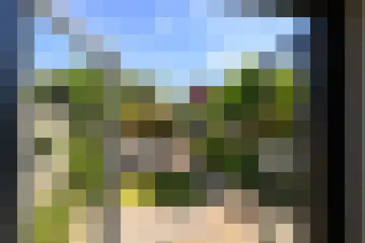 Uilehorst 2 C Honselersdijk thumbnail 9