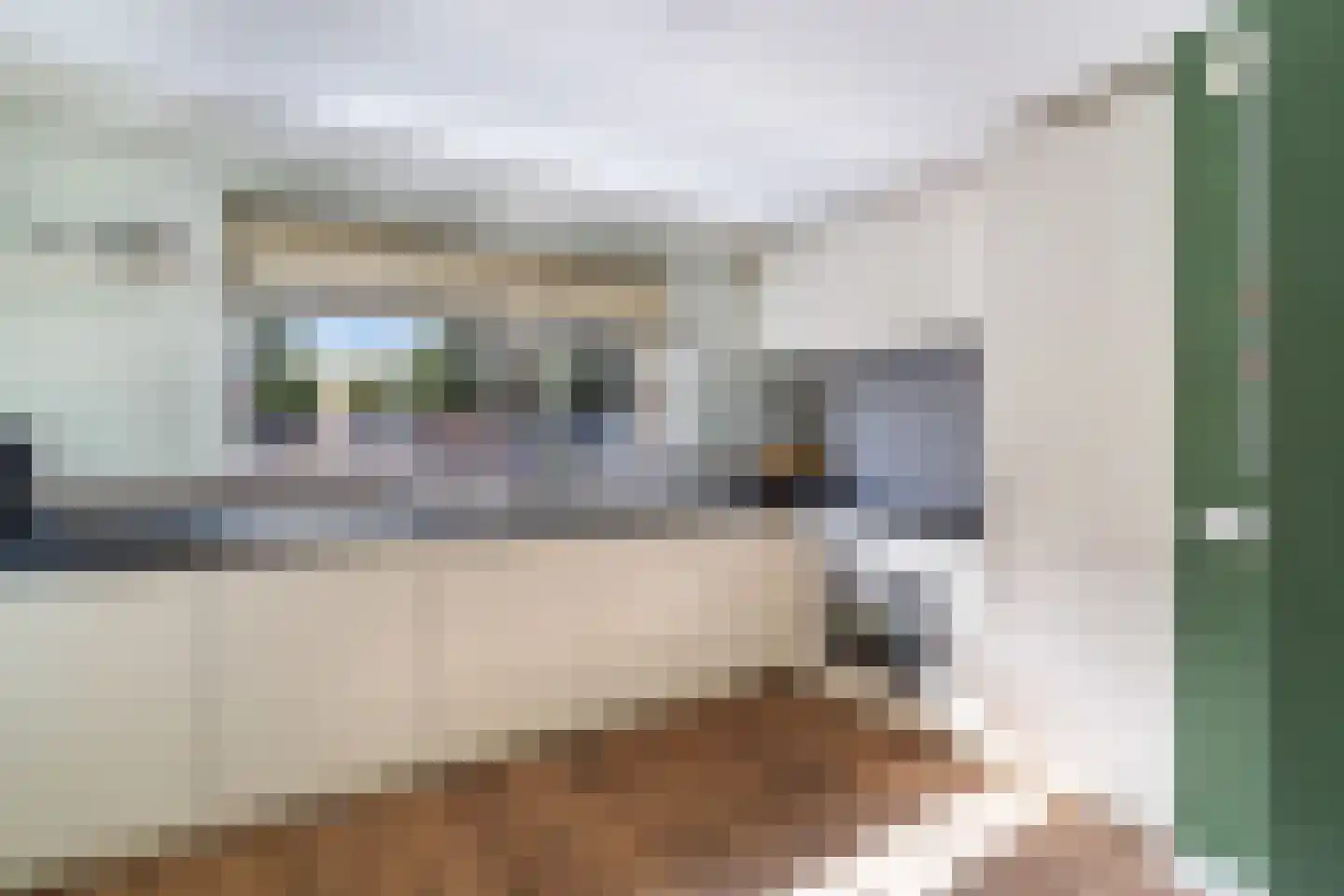 Uilehorst 56 Honselersdijk thumbnail 10
