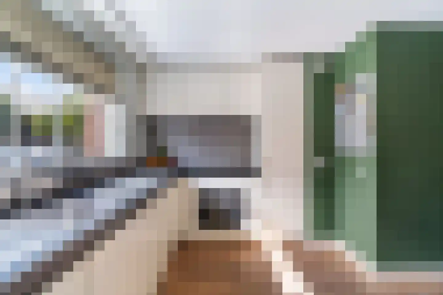 Uilehorst 56 Honselersdijk thumbnail 11