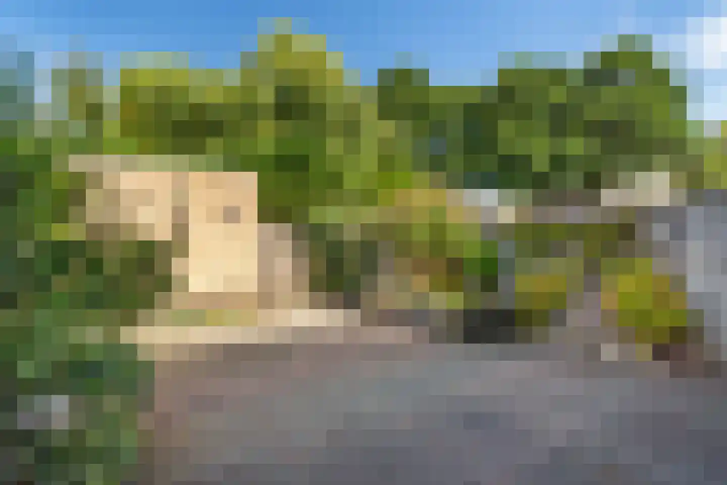 Uilehorst 56 Honselersdijk thumbnail 16