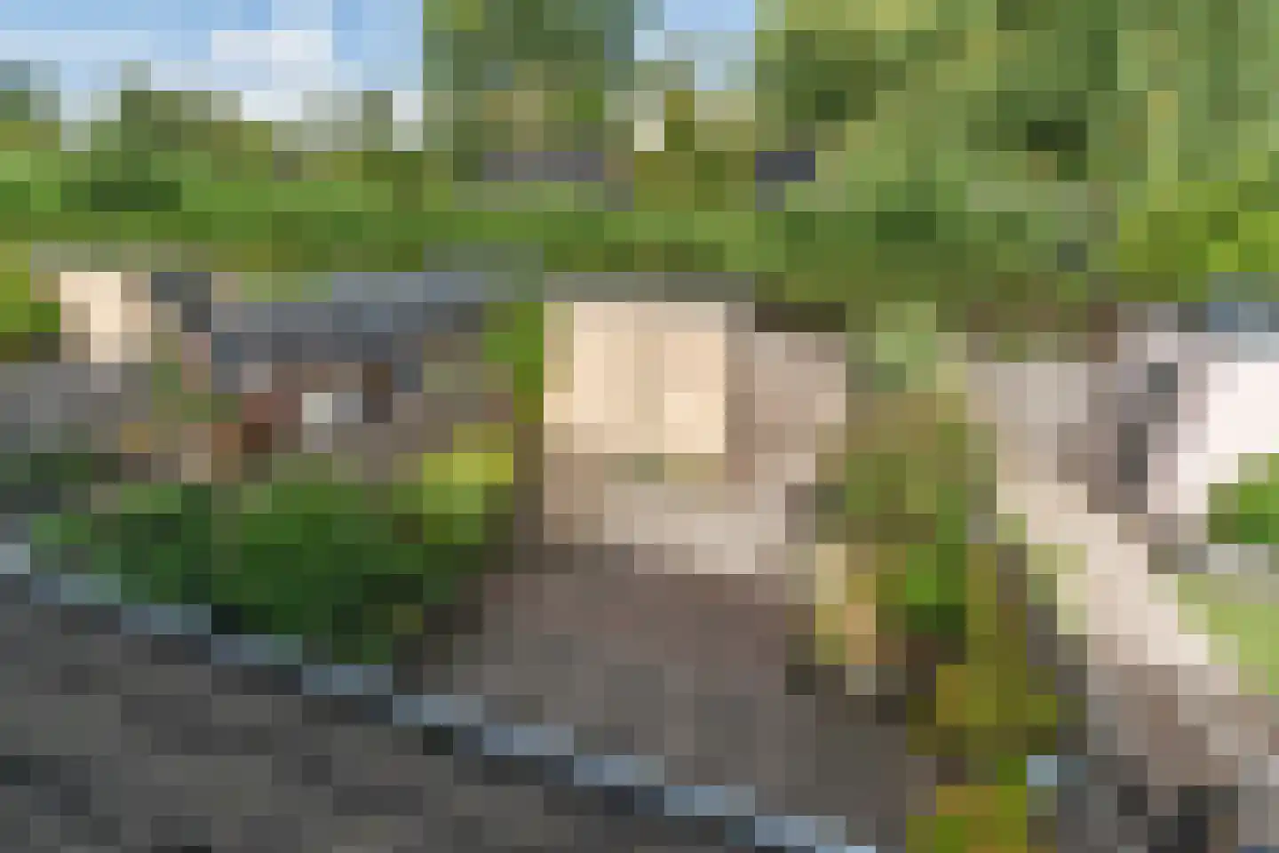 Uilehorst 56 Honselersdijk thumbnail 17