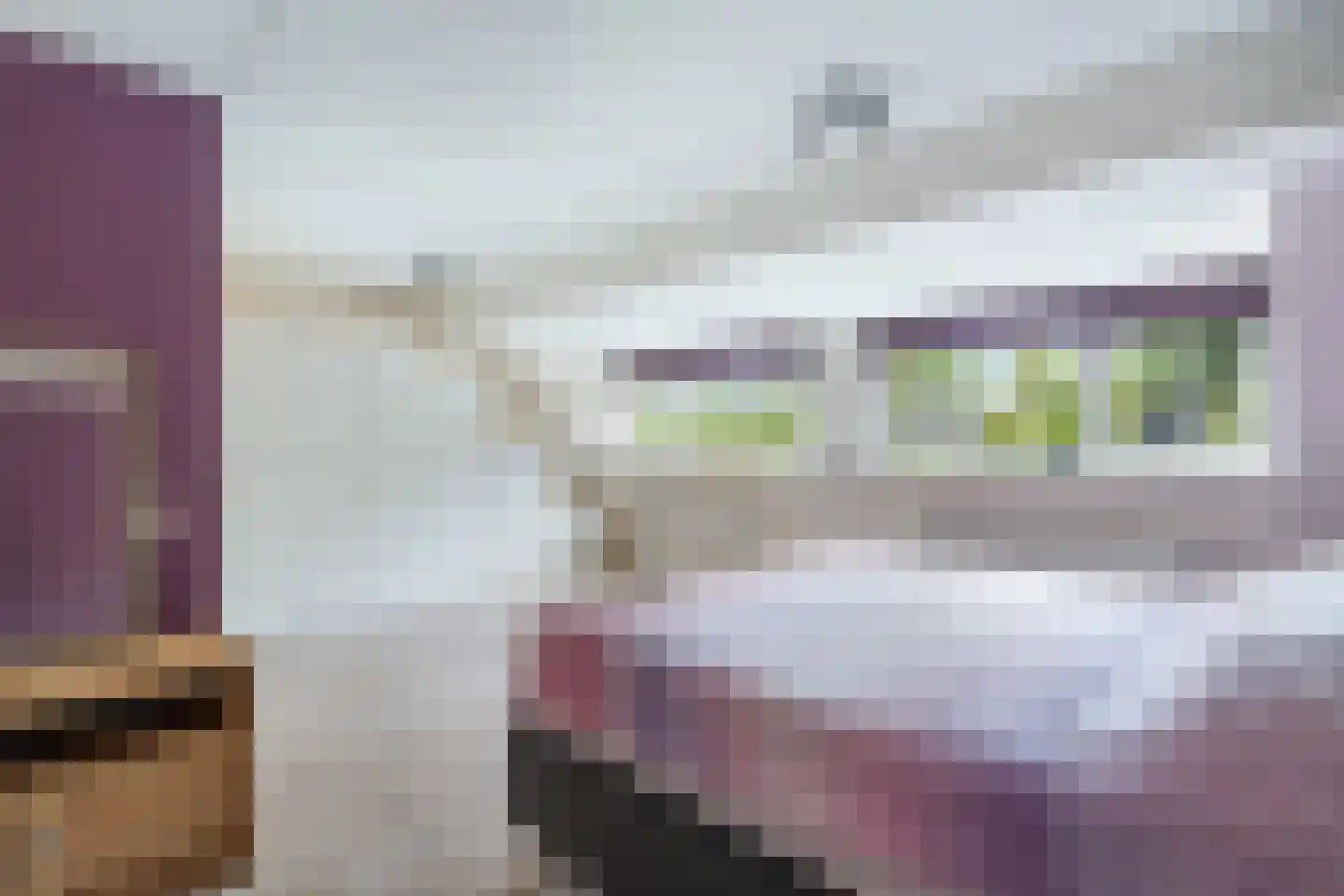 Uilehorst 56 Honselersdijk thumbnail 24