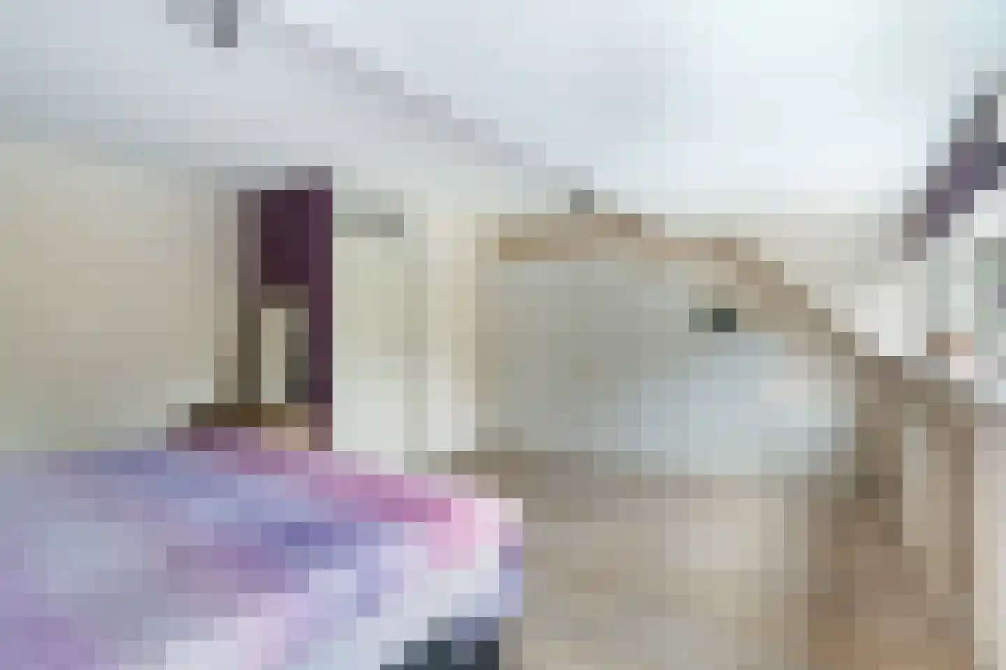 Uilehorst 56 Honselersdijk thumbnail 25