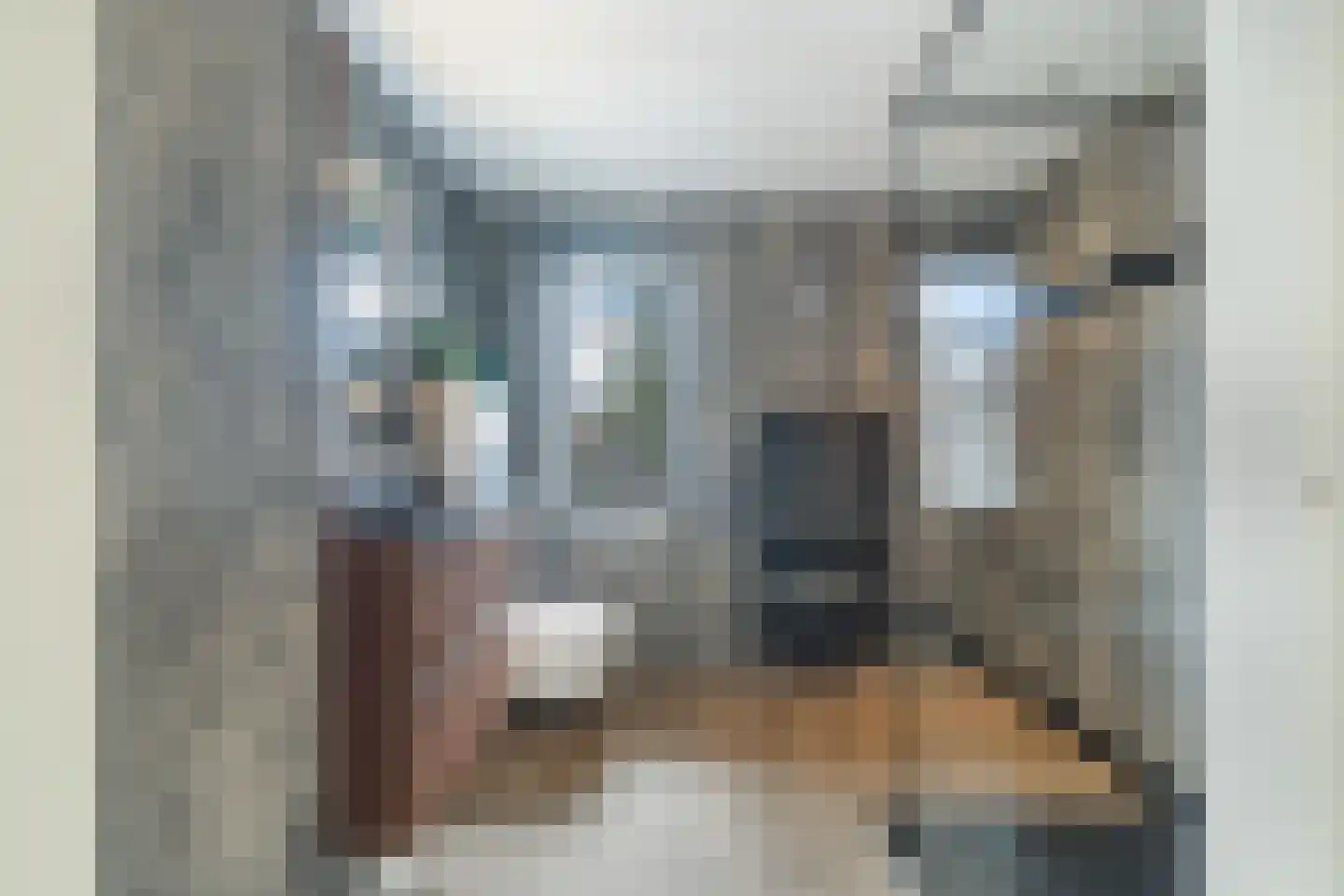 Uilehorst 56 Honselersdijk thumbnail 26