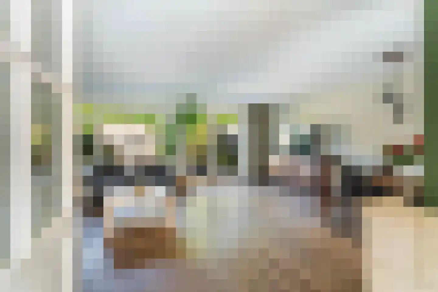 Uilehorst 56 Honselersdijk thumbnail 4