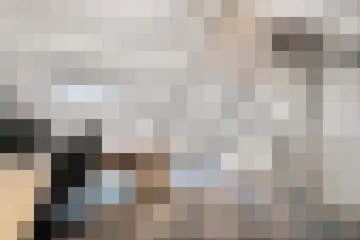 Uilenbosweg 12 Veenendaal thumbnail 28