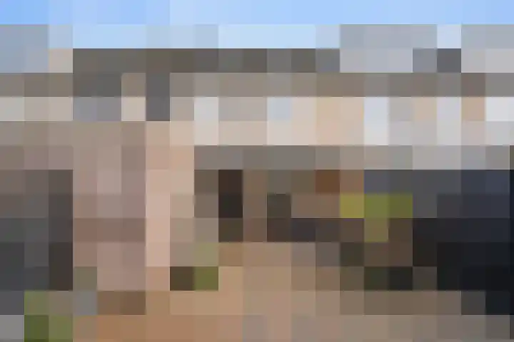 Uilenbosweg 12 Veenendaal thumbnail 34
