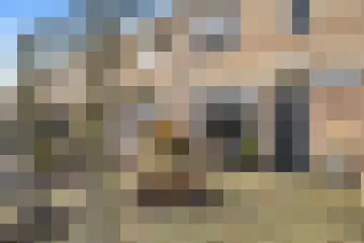 Uilenbosweg 12 Veenendaal thumbnail 38