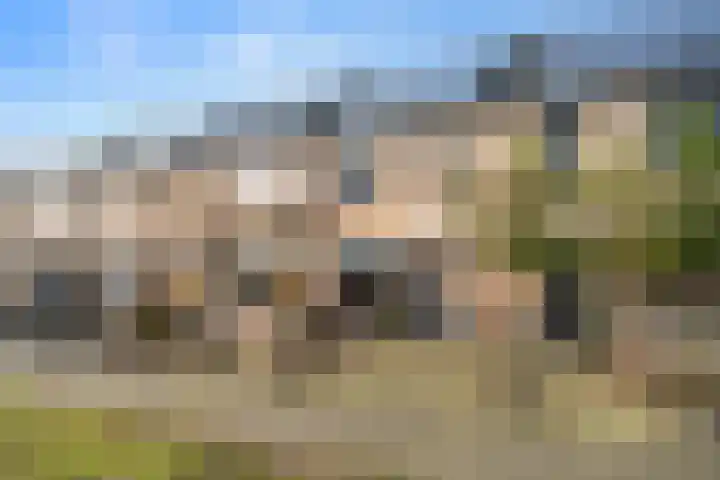 Uilenbosweg 12 Veenendaal thumbnail 39