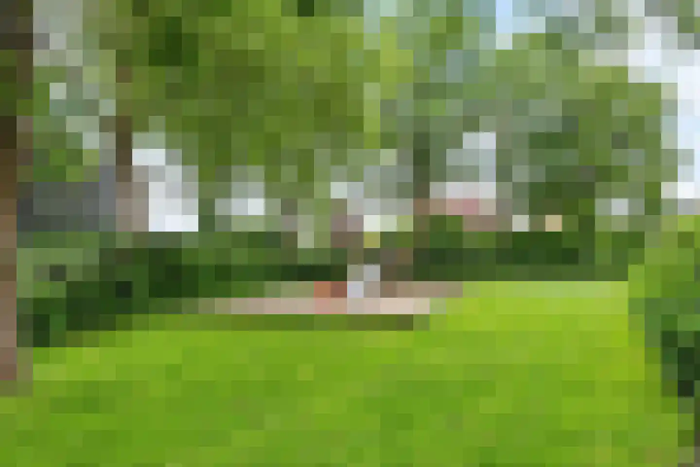 Uilenbroekstraat 56 Heeten thumbnail 31