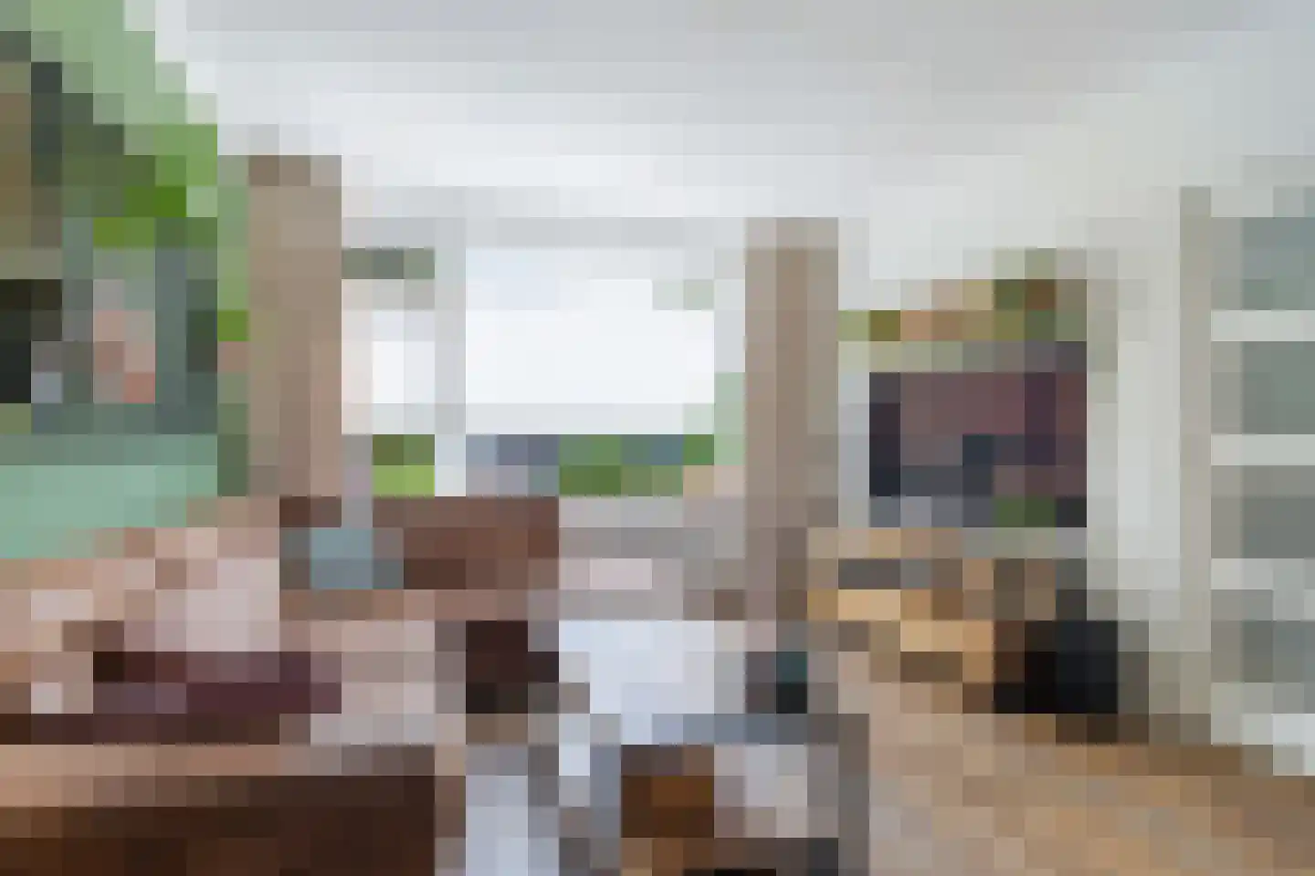 Uilenbroekstraat 56 Heeten thumbnail 5