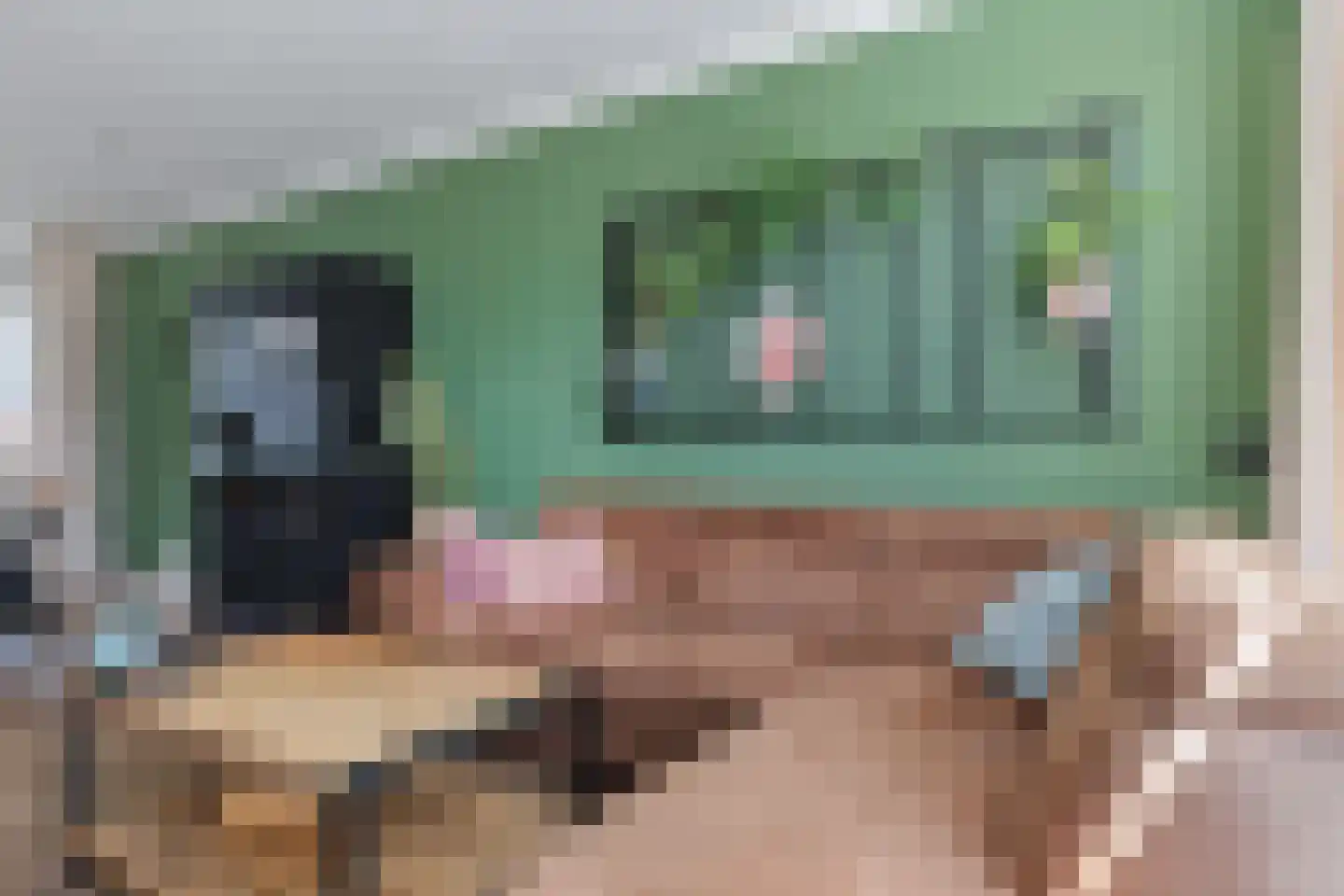 Uilenbroekstraat 56 Heeten thumbnail 6