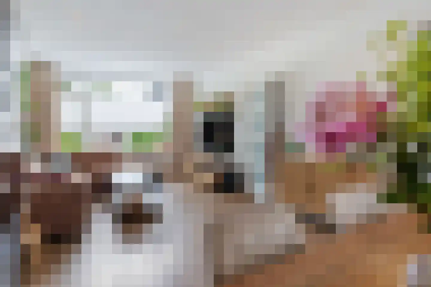 Uilenbroekstraat 56 Heeten thumbnail 8