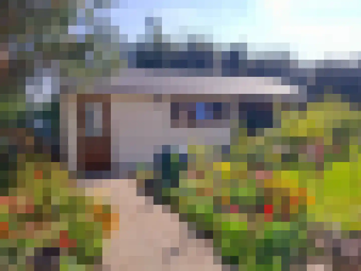Uilenbroekstraat 72 Heeten thumbnail 10