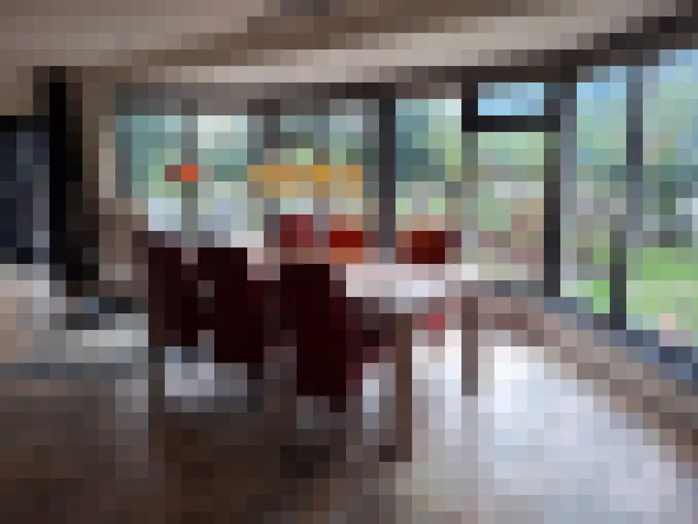 Uilenbroekstraat 72 Heeten thumbnail 16