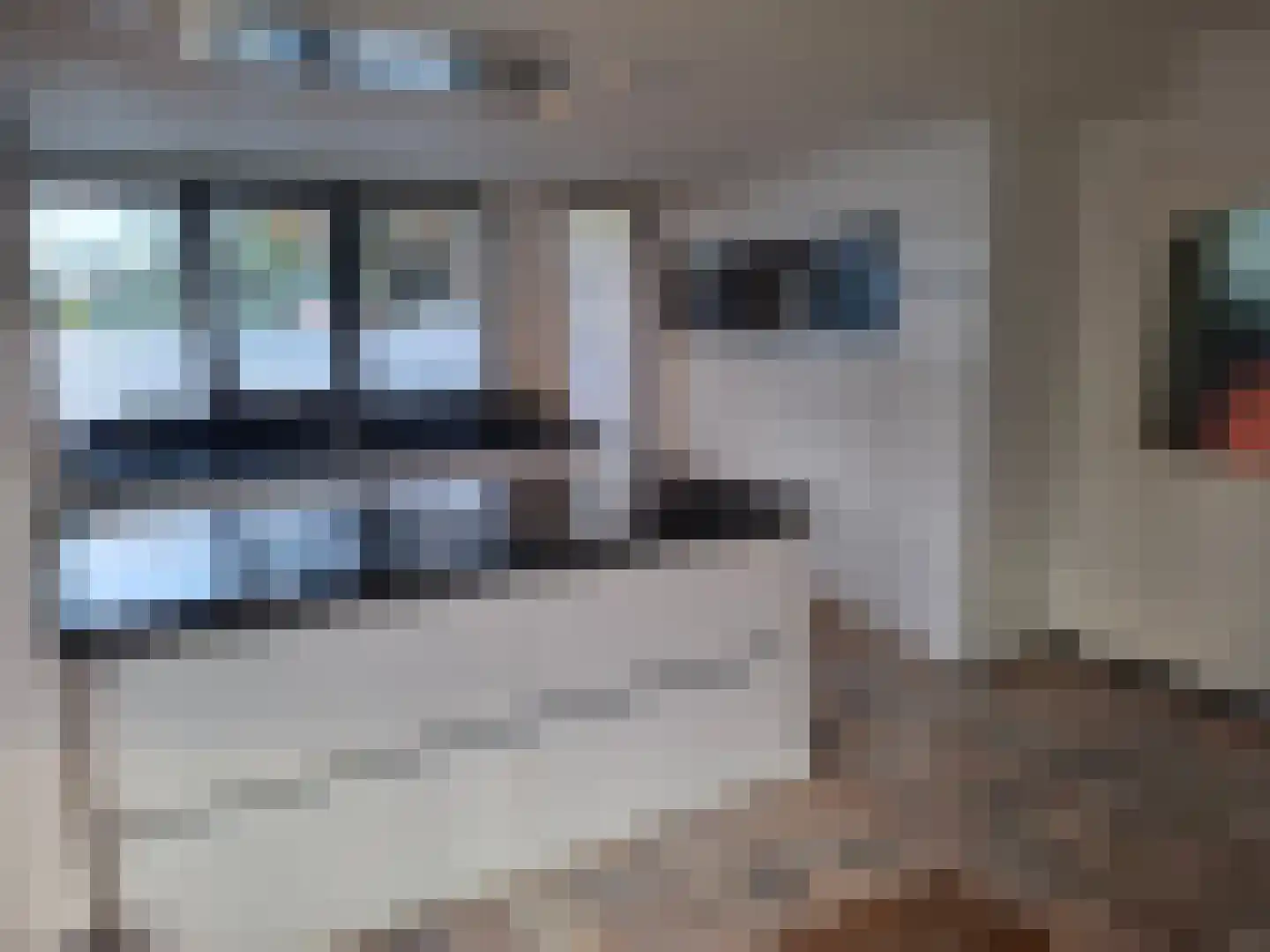 Uilenbroekstraat 72 Heeten thumbnail 17